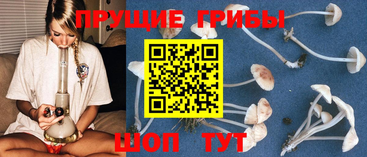 Полысаево  Галлюциногенные грибы Magic Shrooms  Вход с VPN  Галлюциногенные грибы GOLDEN TEACHER 